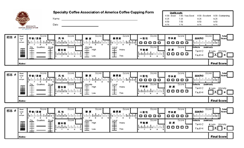 scaa杯測(cè)表